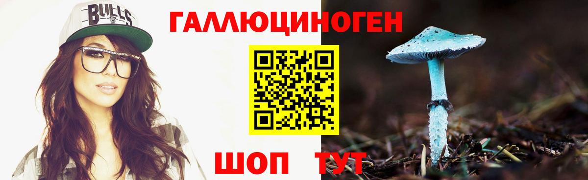 Псилоцибиновые грибы MAGIC MUSHROOMS  Вход с VPN  Ейск 